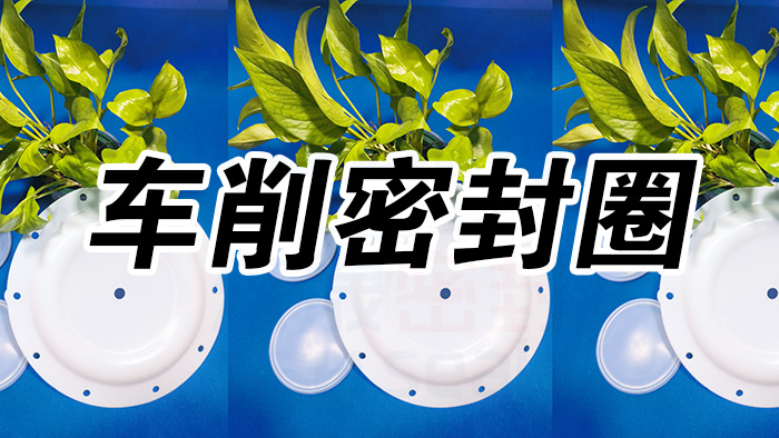 2車削密封圈，氣動(dòng)隔膜泵膜片密封件